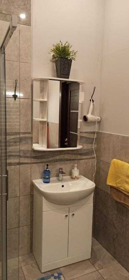 Studio Flat In A Historical XIX C. Building. カウナス エクステリア 写真