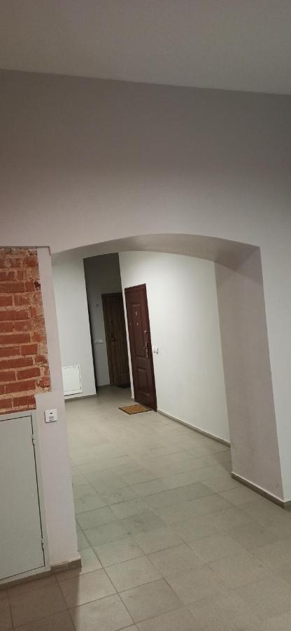Studio Flat In A Historical XIX C. Building. カウナス エクステリア 写真